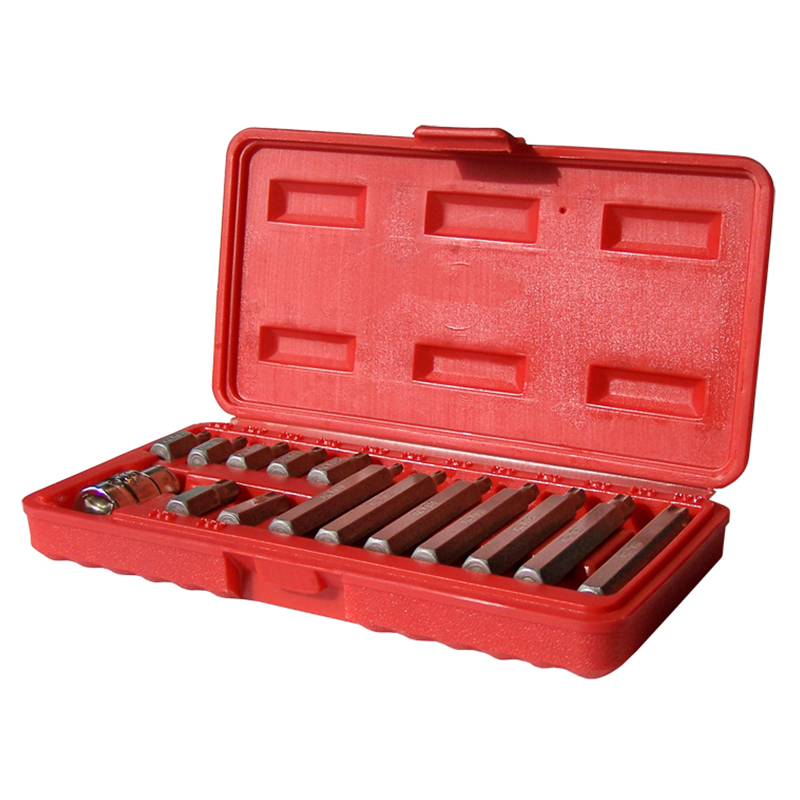 Juego de Puntas Torx – 15 Piezas