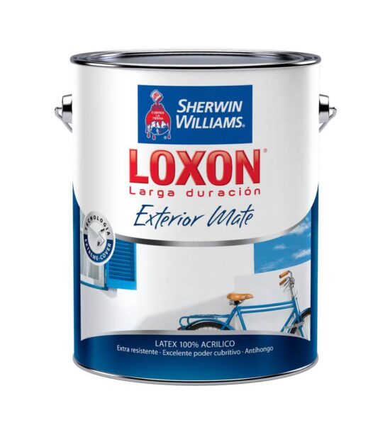 Loxon Larga Duración Exterior Mate